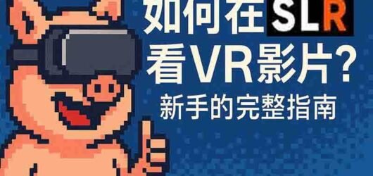【2026完整教學】如何在 SLR 看VR影片？新手必讀的完整指南
