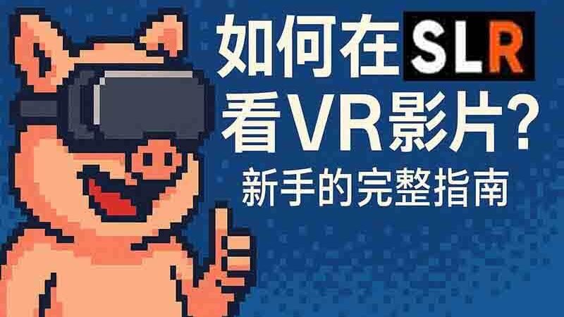【2025完整教學】如何在 SLR 看VR影片？新手必讀的完整指南
