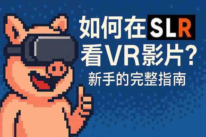 【2025完整教學】如何在 SLR 看VR影片？新手必讀的完整指南